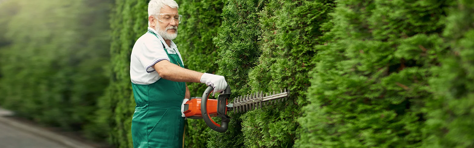Características de la batería en herramientas de jardinería